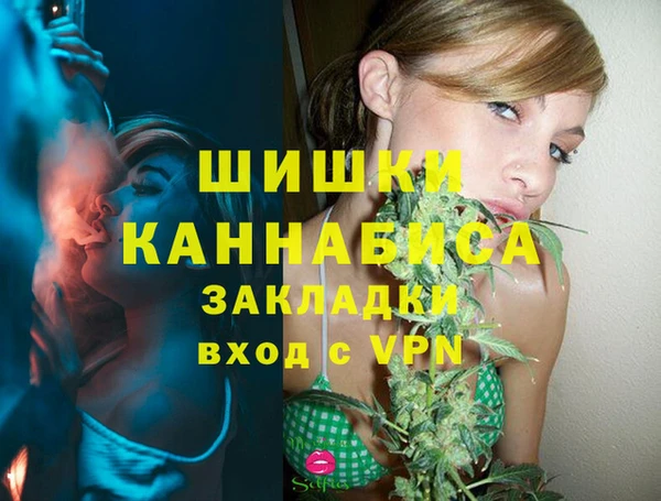 сатива Карталы