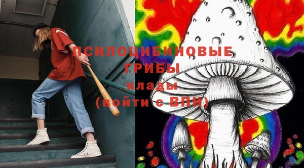 ешки Абаза