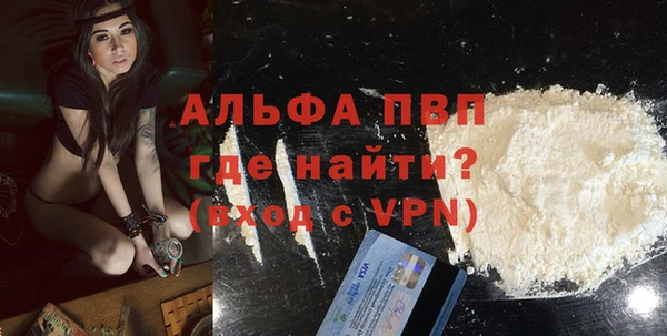 сатива Карпинск
