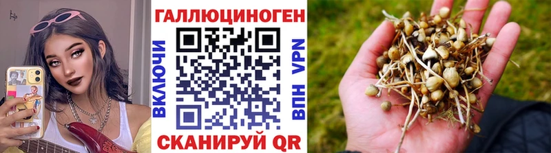 Псилоцибиновые грибы MAGIC MUSHROOMS  купить закладку  сайты даркнета телеграм  Новосибирск 